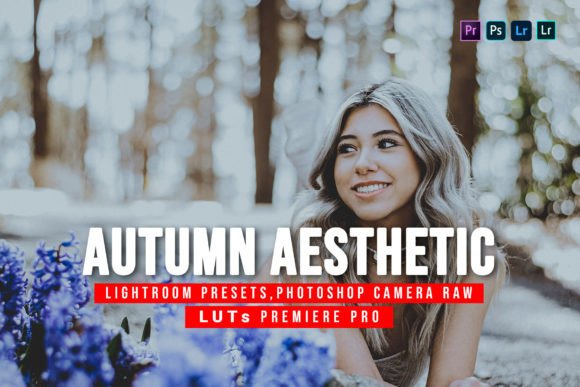 Download 10 Autumn Aesthetic Presets and Luts - Aesthetic presets Collection