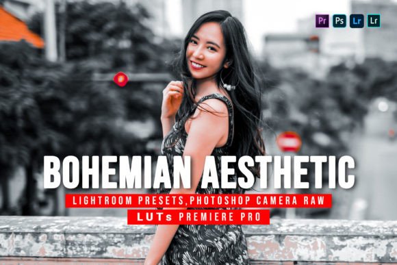 Download 10 Bohemian Aesthetic Presets and Luts - Premium Resources